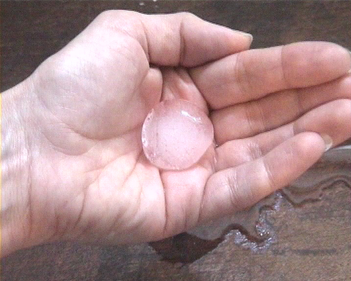 Grasping and Clinging installation